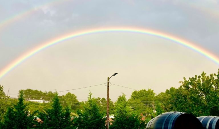 Asheville: Just Arrived, What Happened Week 1
