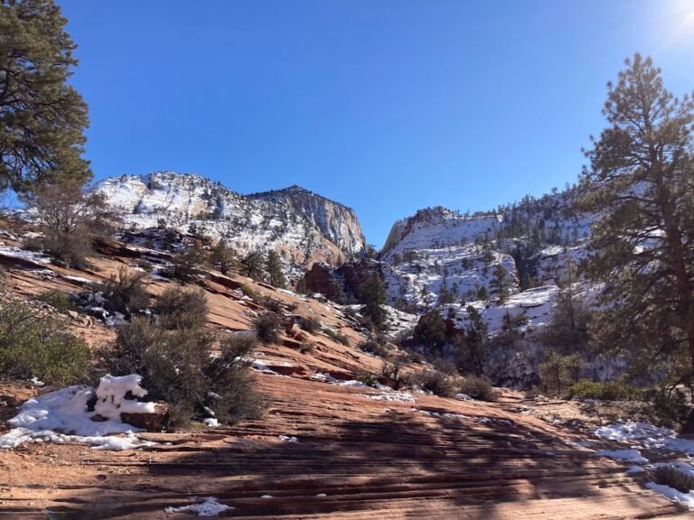 Zion: The Best National Park?